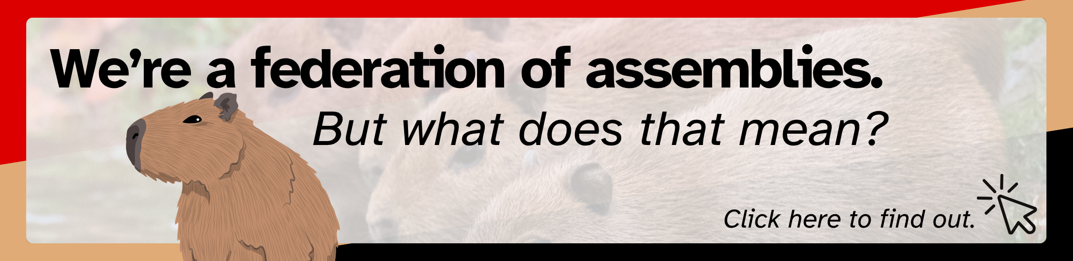 Trans Liberation Assembly banner