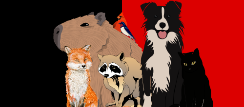 A capybara, a fox, a raccoon, a border collie, a swallow, and a cardinal are all crowded into the centre of this image which has a red and black vertically bisected background.